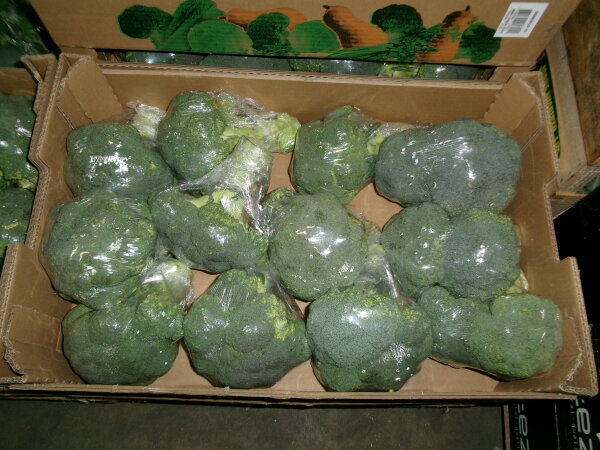 Broccolie 10x500g Belgien