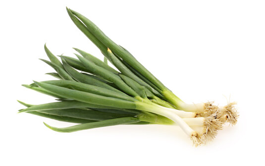 Lauchzwiebel 14er Maroc