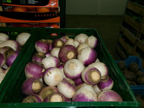 Rettich  (Turp) 15kg Navetten