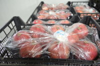 Granatapfel Peru 8er