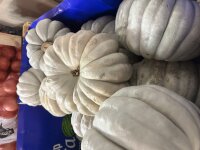 Kürbis ( Balkabagi ) Kg