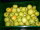 Limetten 48er 4,2Kg