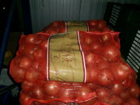 Metzgerzwiebel 25Kg Spanien Neue Ernte