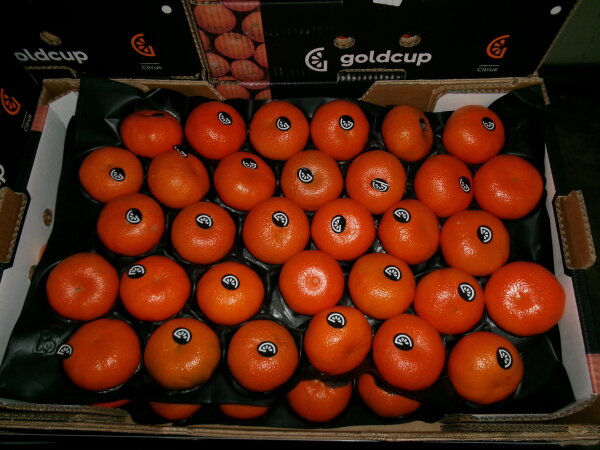 Clementine 10Kg