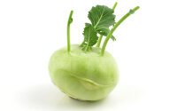 Kohlrabi 20er