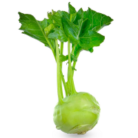 Kohlrabi 20er