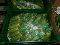 Zuchini Mini 4Kg TR