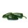 Jalapeno Grün 1Kg