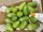 Avocado Grün 4Kg