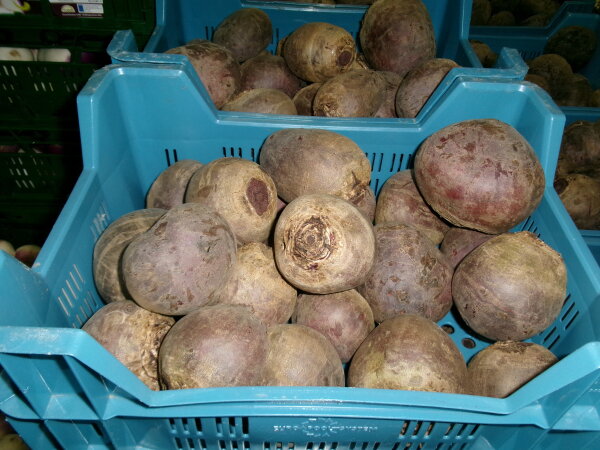 Rote Beete 20Kg