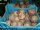 Rote Beete 20Kg