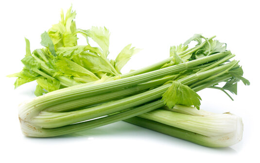 Staudensellerie 16 Bund