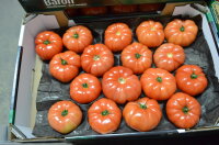 Fleischtomaten 7 Kg Belgien 102+