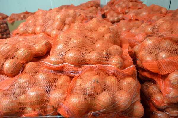 Haushaltszwiebel 5Kg 60/80