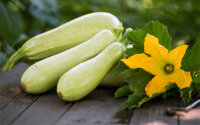 Zucchini Weiss 4Kg TR