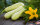 Zucchini Weiss 4Kg TR