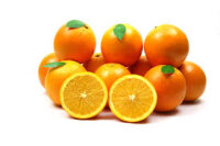 Orangen Press 15Kg
