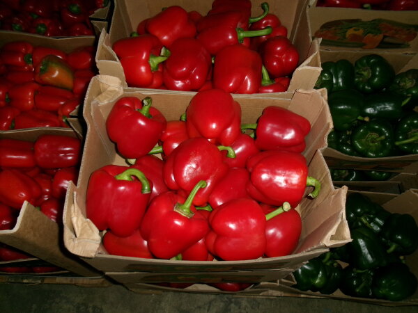 Paprika Rot 10Kg II-1 75+