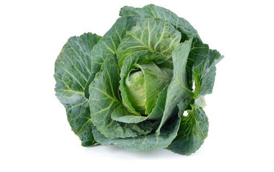 Spitzkohl 10Kg