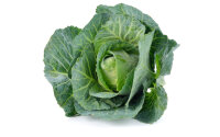 Spitzkohl 10Kg