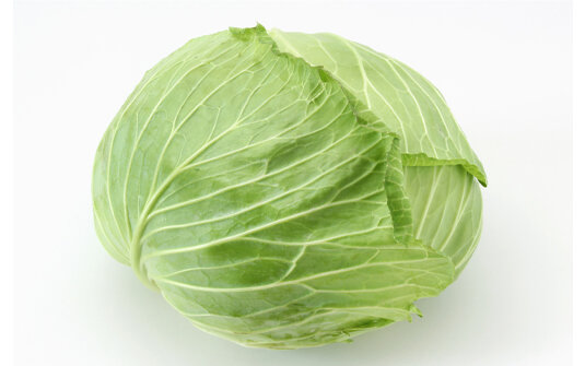 Weisskohl Platt Sweet Cabbage NL 6er 7,5Kg
