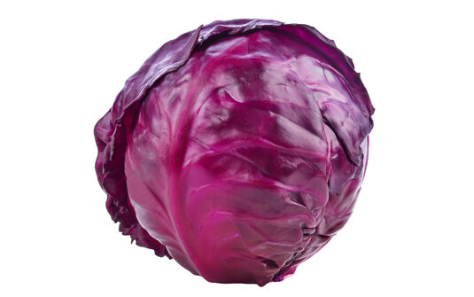 Rotkohl Neue Ernte 6er