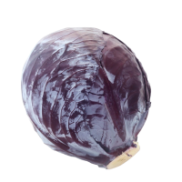 Rotkohl Neue Ernte 6-7er