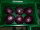 Rotkohl Neue Ernte 6-7er