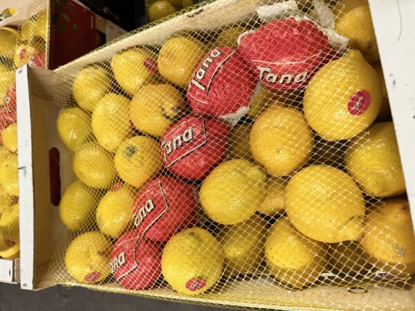 Melone Grün  Piel de Sapo