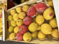 Melone Grün  Piel de Sapo