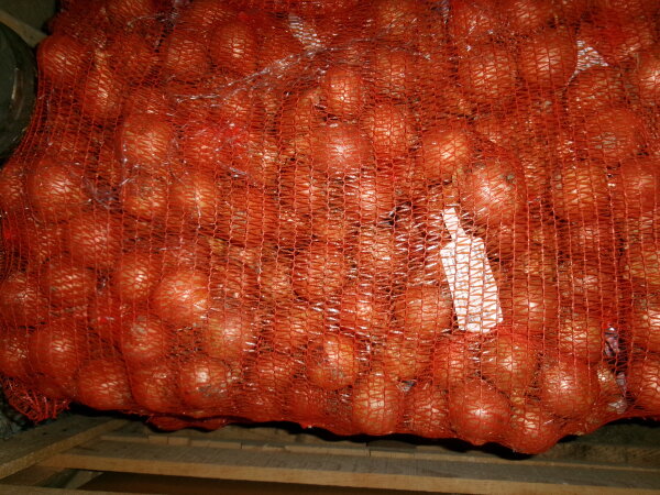 Zwiebel Gelb 20x1Kg Sack