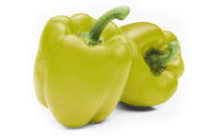 Paprika Dolma 15x400g TR