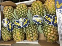 Ananas 7er San Lucar
