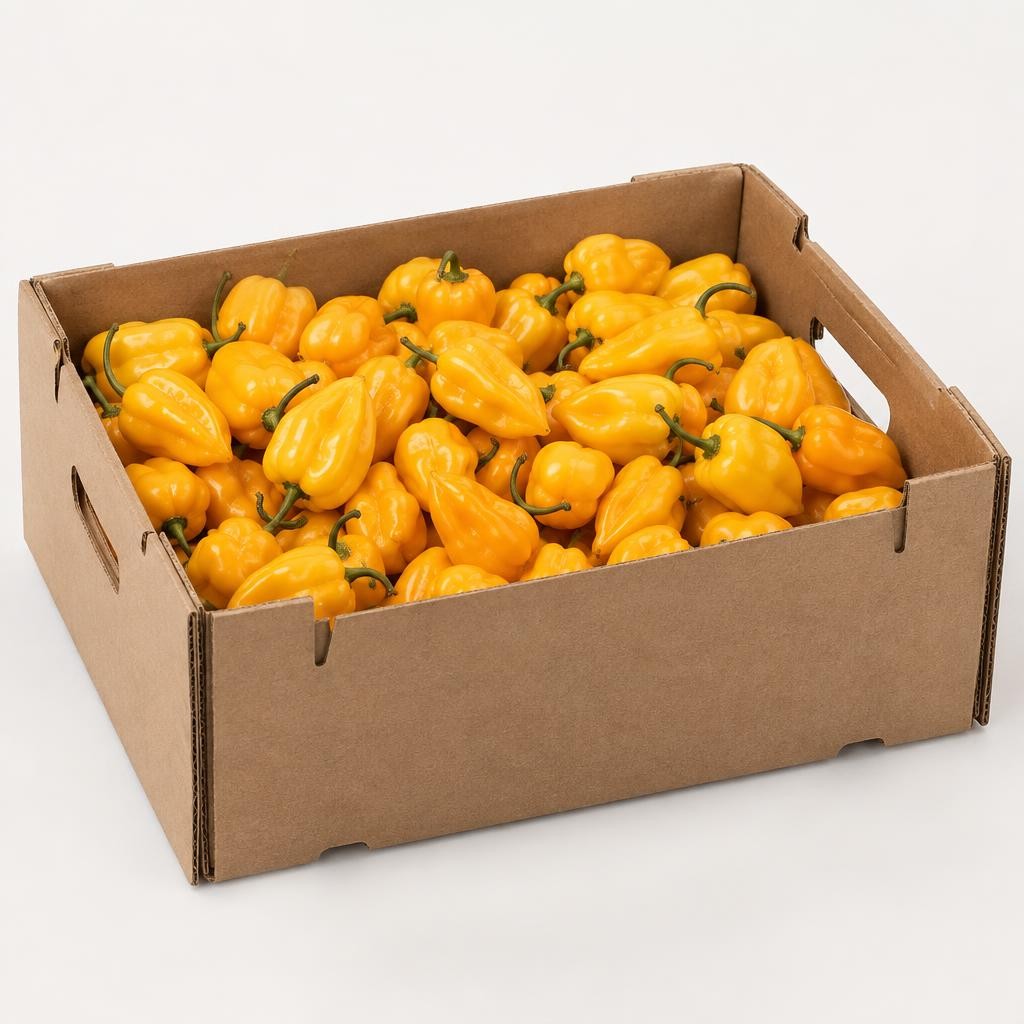 Habanero Gelb 2Kg